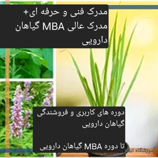 دوره های فنی و حرفه ای با گرایش گیاهان دارویی و طب سنتی